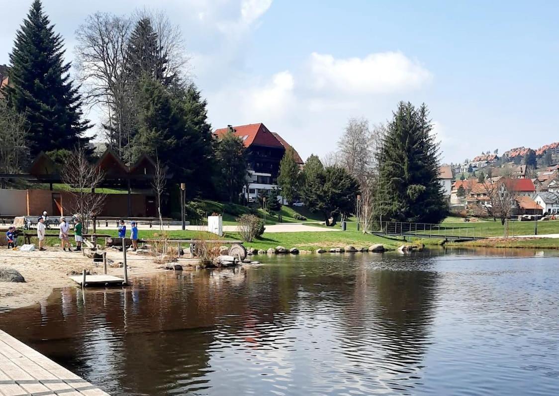 Ferienwohnung Karin Schonach im Schwarzwald Εξωτερικό φωτογραφία